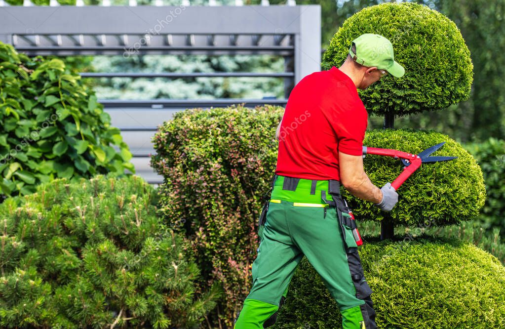 Gartenpflege mit Rasenmäher und Heckenschere